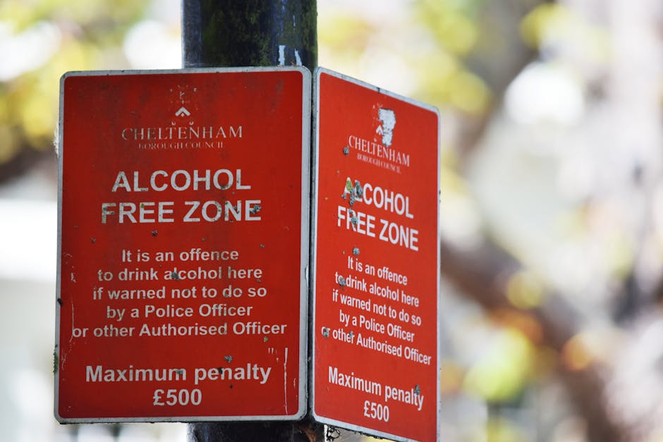 Two adjacent red metal signs attached to a black metal pole, both bearing the header 'CHELTENHAM BOROUGH COUNCIL' with the logo and website. The primary message on each sign states 'ALCOHOL FREE ZONE'